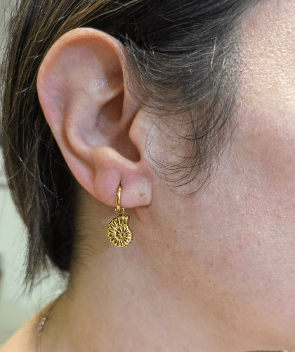 Fossila – Mini Créoles Fossile Doré - Alberto Bijoux