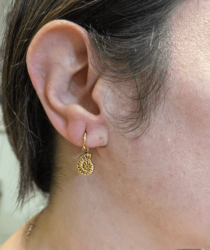 Fossila – Mini Créoles Fossile Doré - Alberto Bijoux