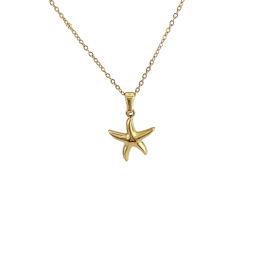 Étoile de mer dorée – Pendentif chic avec chaîne - Alberto Bijoux