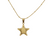 Collier Étoile de Nuit doré 20 mm avec chaîne